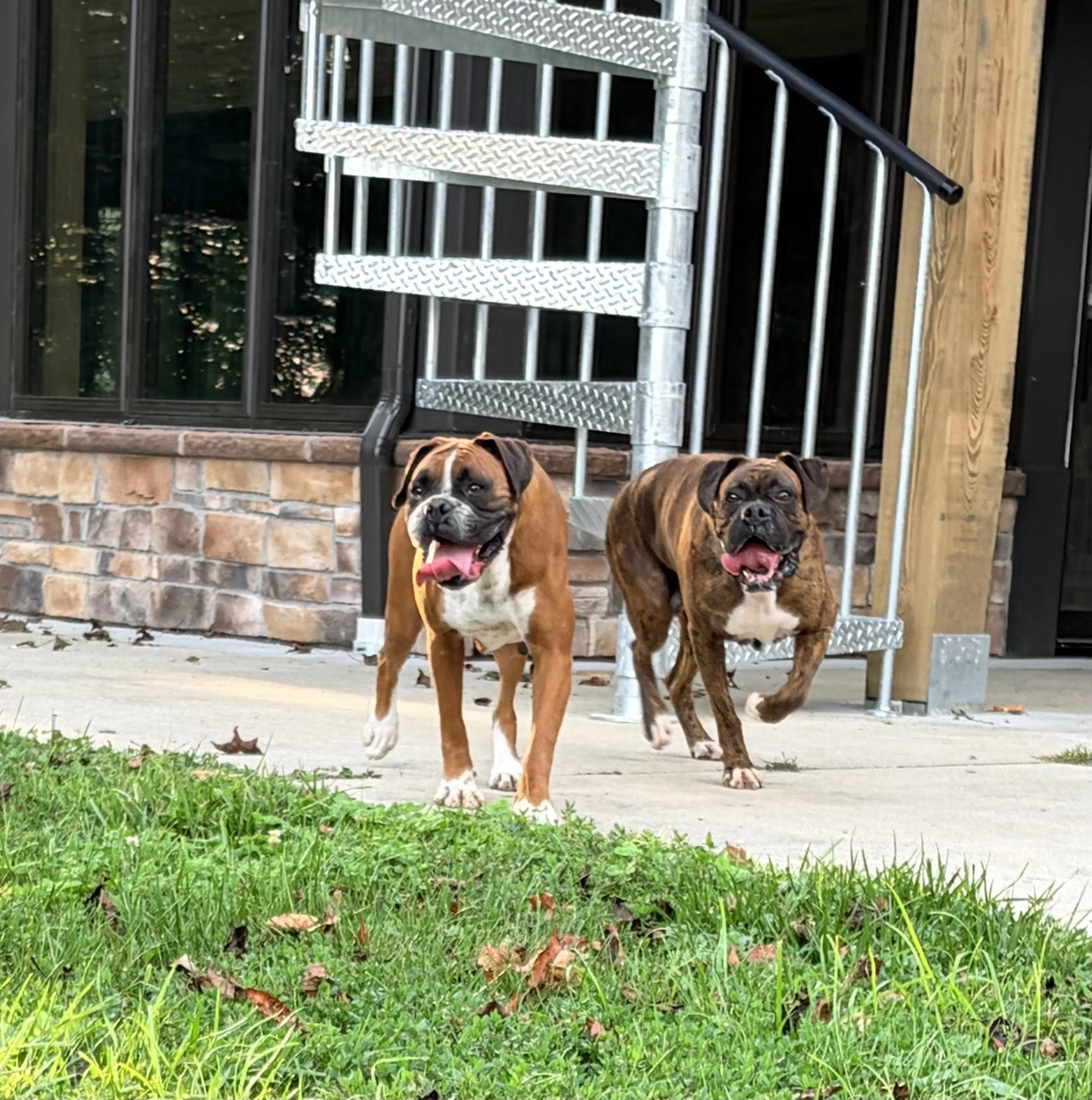 Ruby and Pearl, photo 2