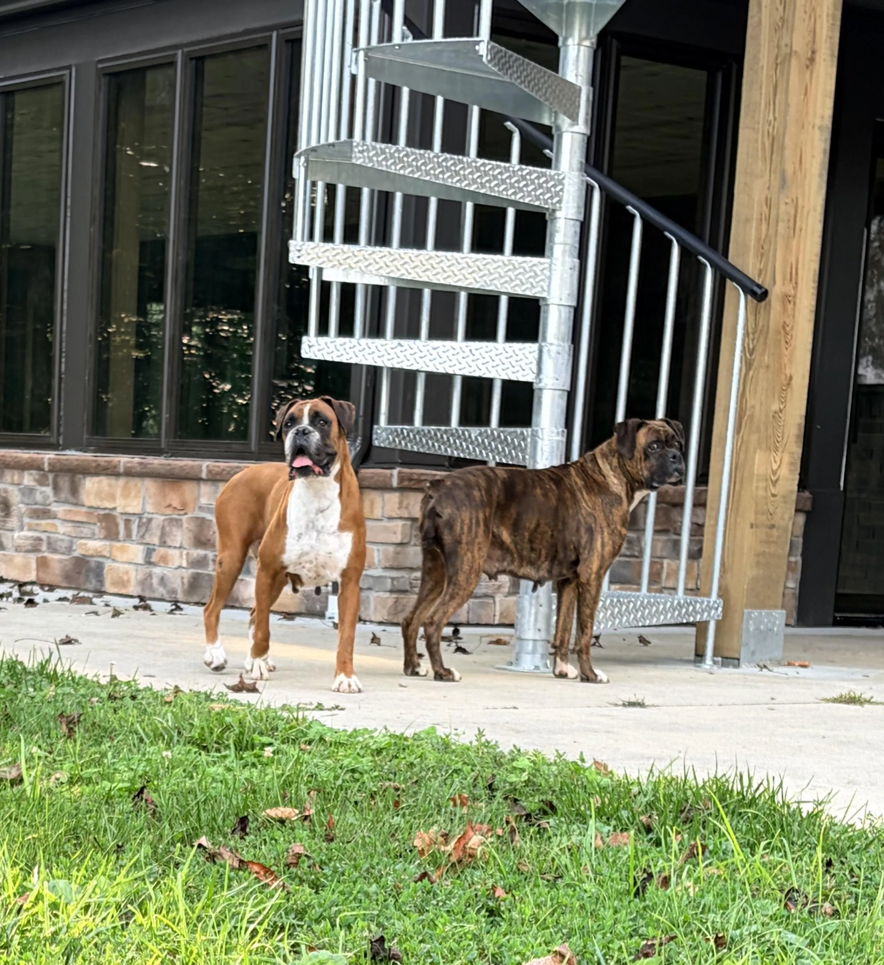 Ruby and Pearl, photo 3