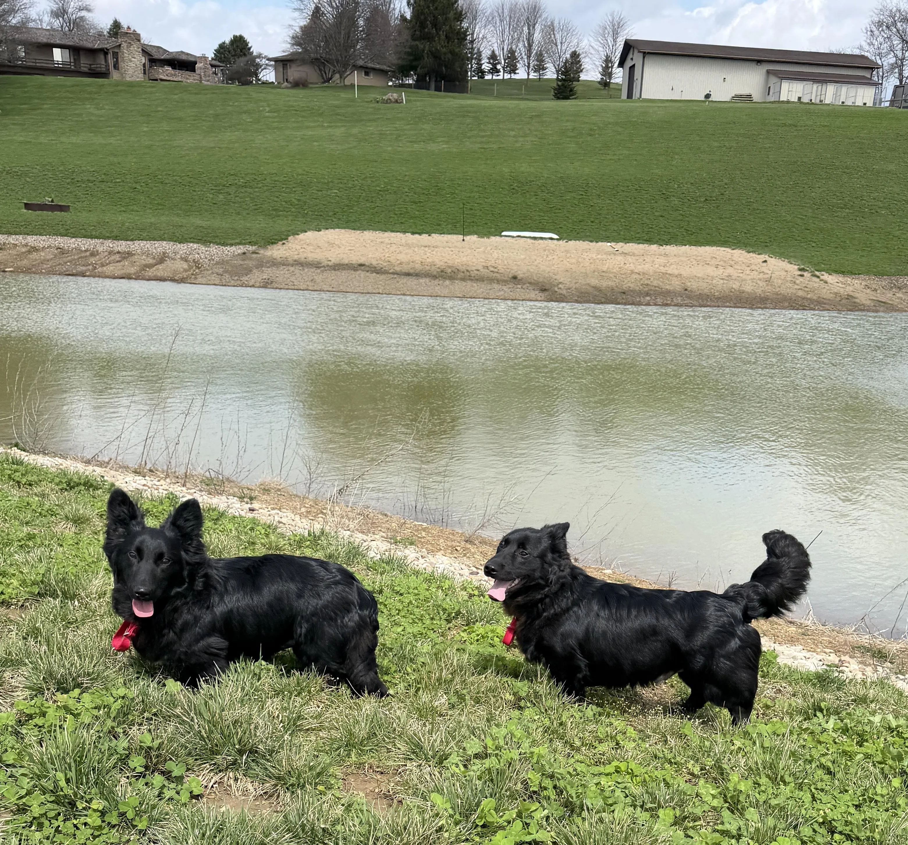 Photo of Eli and Henry