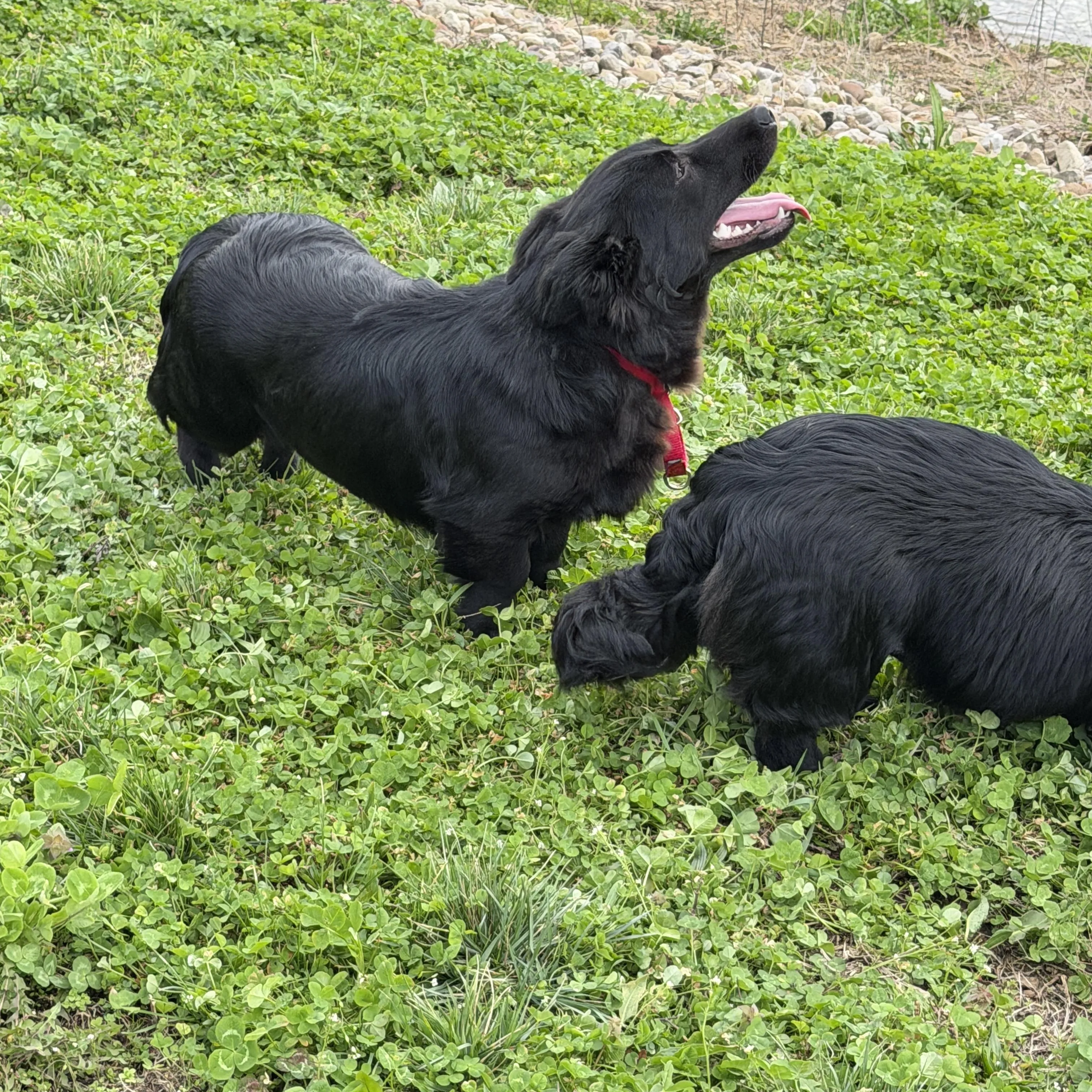 Eli and Henry, photo 2