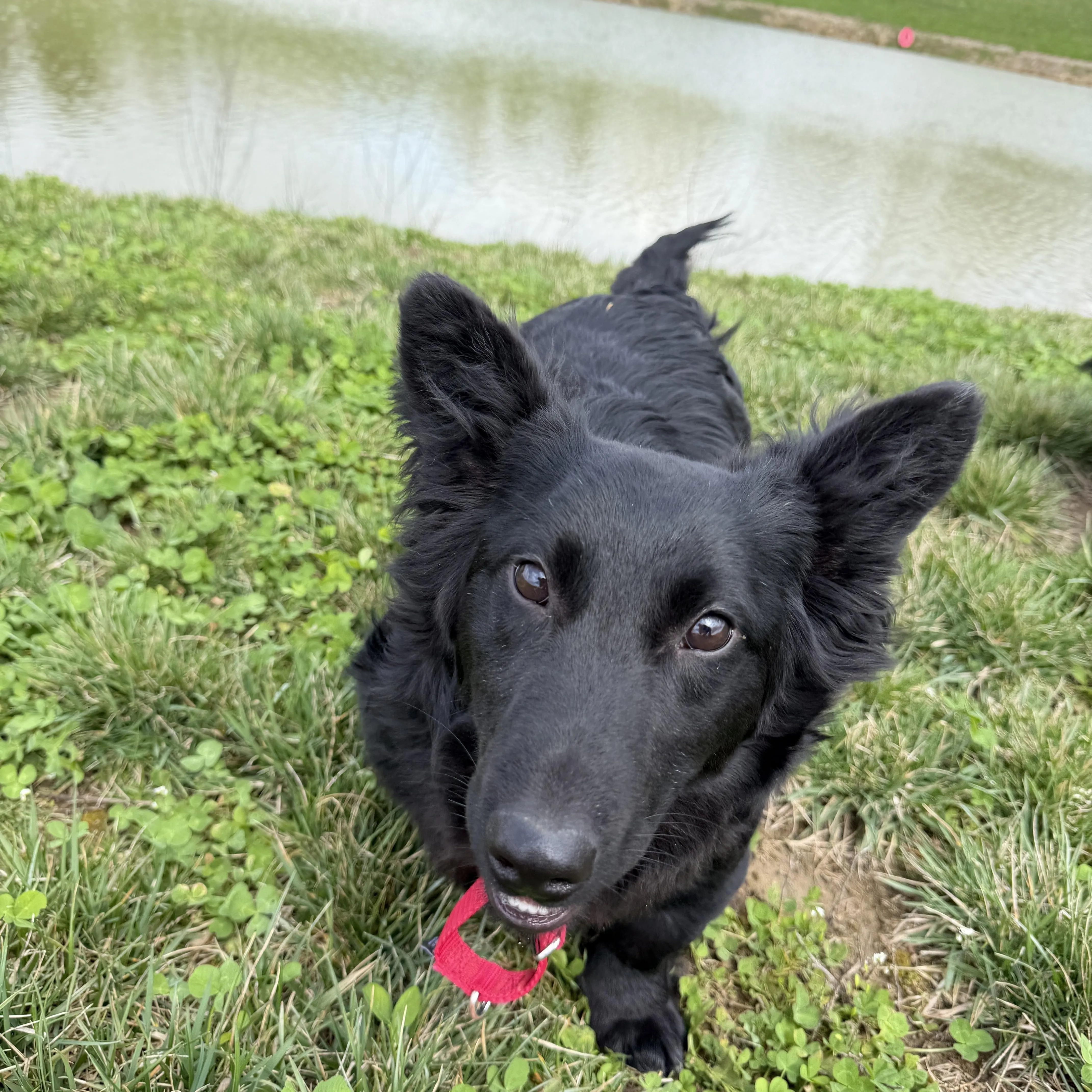 Eli and Henry, photo 3