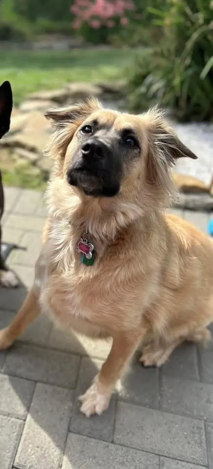 Photo of Delilah