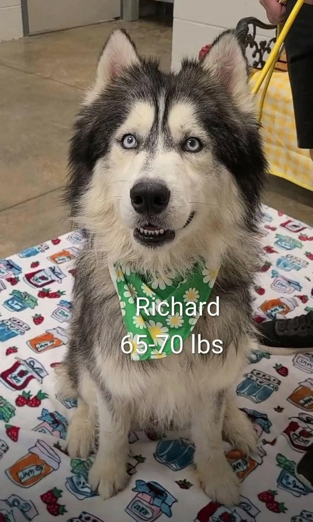 Photo of Remmy